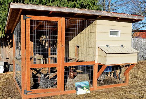 This kid-friendly chicken coop has outside access to eggs, feed, and water.