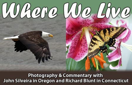 Where We Live by John Silveira and Richard Blunt. Photos and commentary from Oregon and New England.