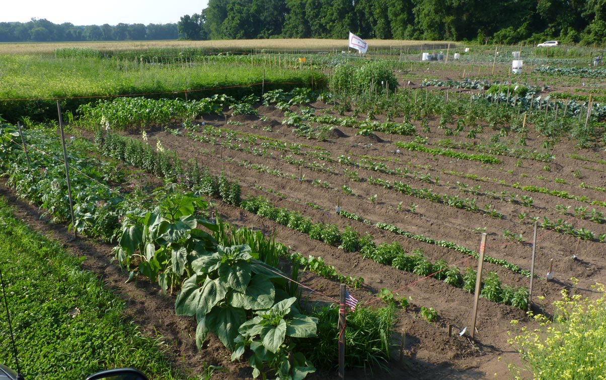 P1010479_edited-1 P1010479_edited-1