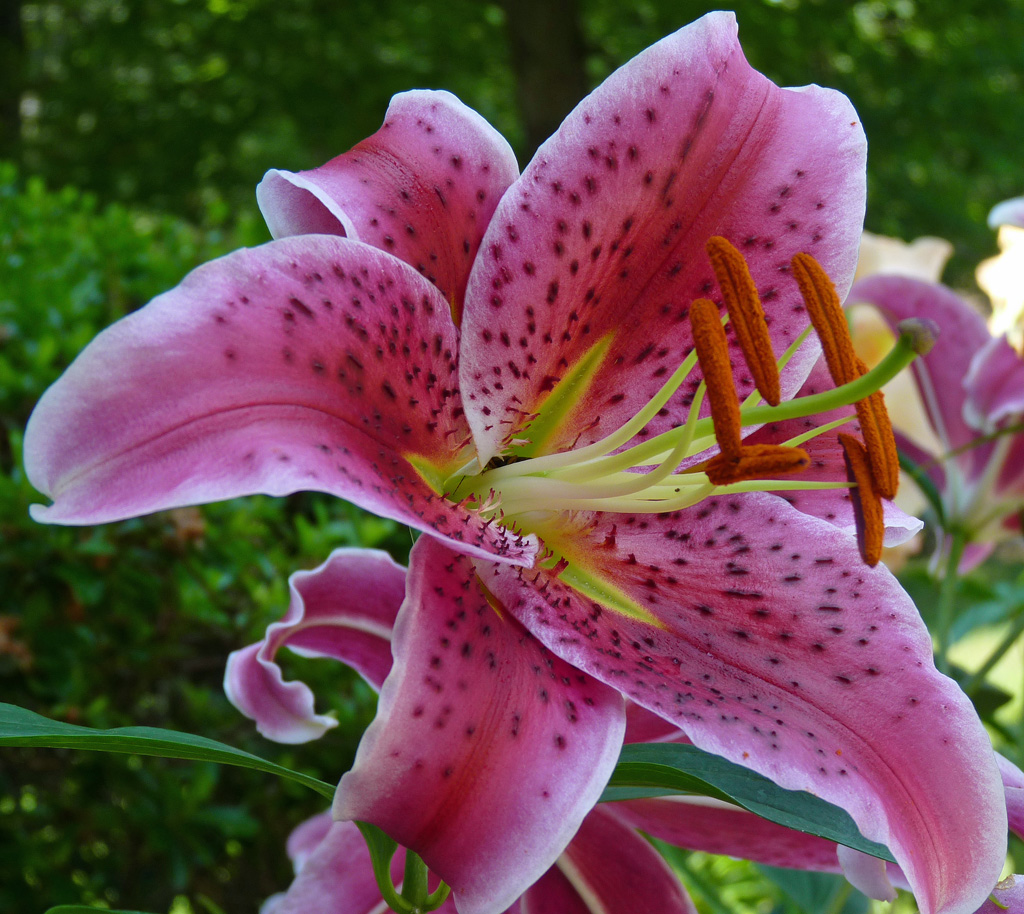 P1010489_edited-1 P1010489_edited-1