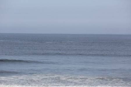 This is what I first saw. That's a whale breaching.