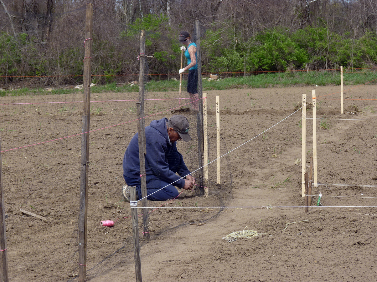 2012-04-14 001 001 2012-04-14 001 001
