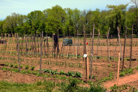 2013-05-17 001 001