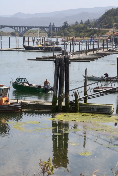 This is the set of pilings where the nest is located. As you can see, a misstep or an errant breeze could be catastrophic to a baby that can't fly.