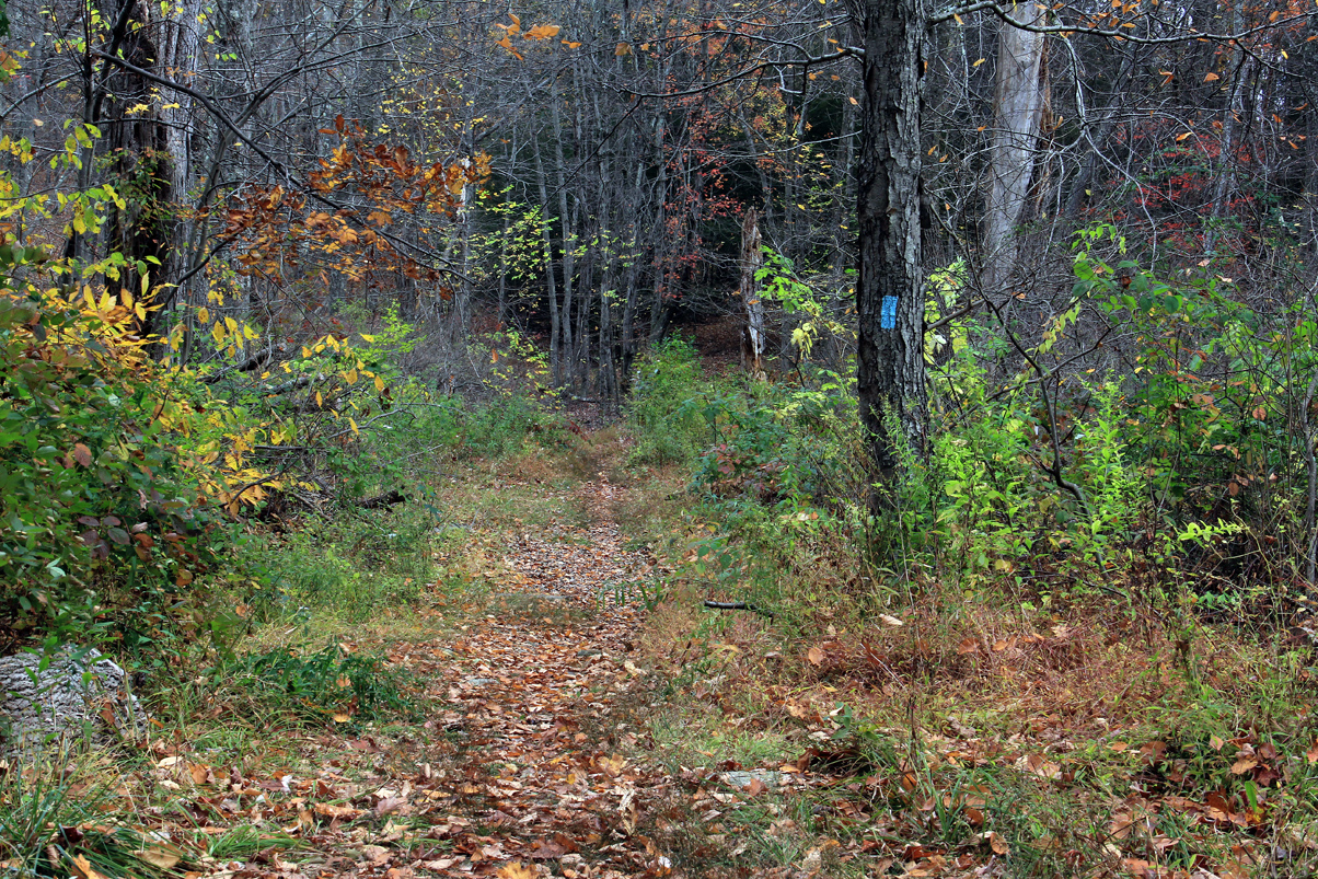 2013-10-22 002 002 2013-10-22 002 002