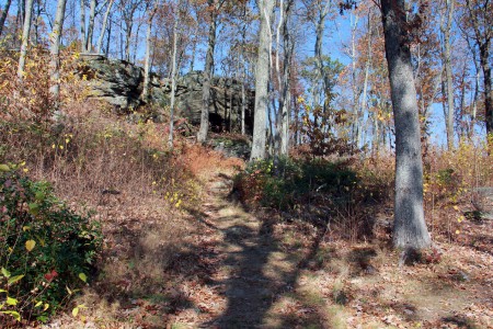 2013-10-28 003 003 copy