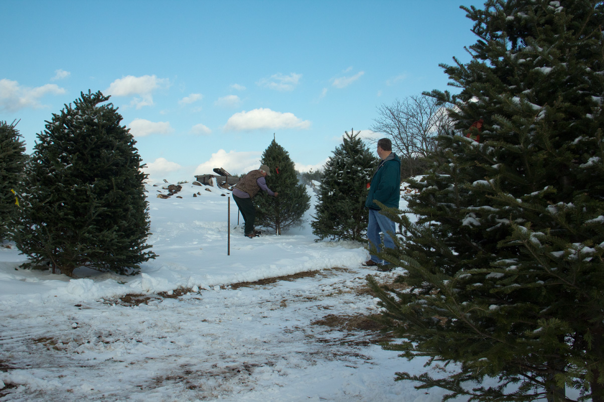 2013-12-18 001 004 2013-12-18 001 004