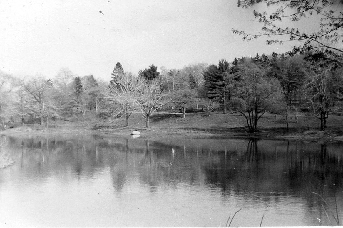 img109 copy img109 copy