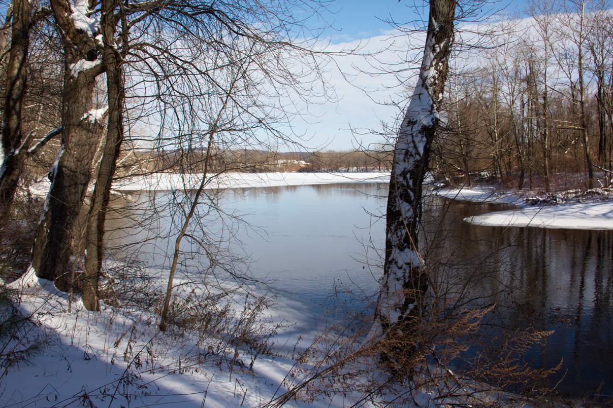 2015-01-28 001 003 copy 2015-01-28 001 003 copy