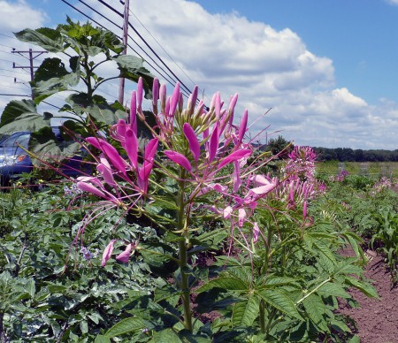 2011-07-02 001 001_edited-1