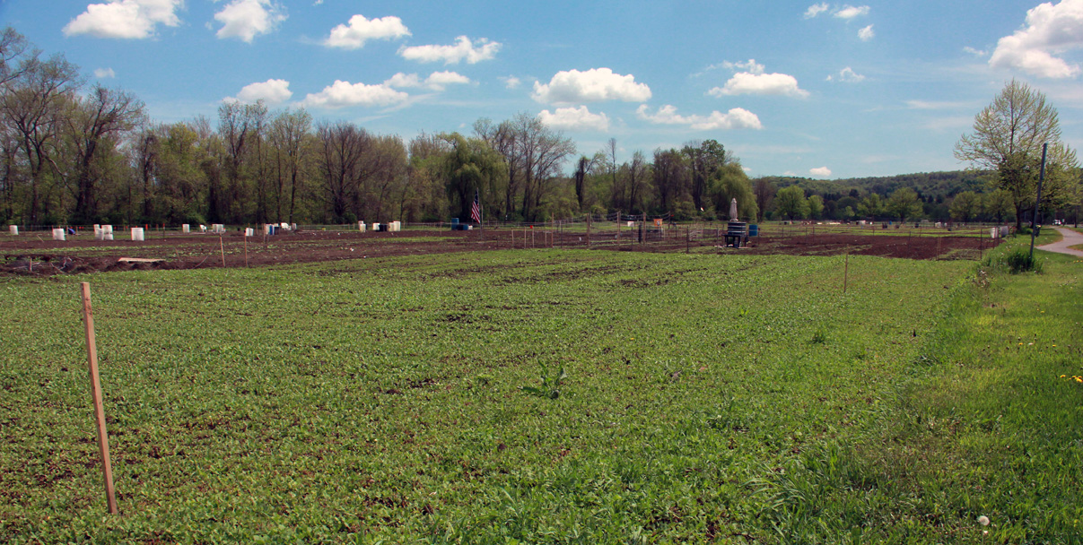 2013-05-10 001 001 2013-05-10 001 001