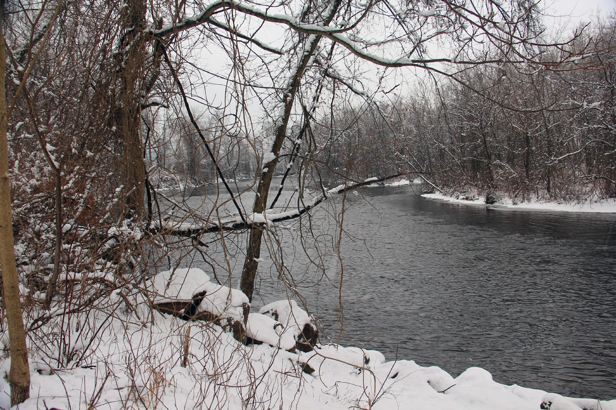 2015-01-24 001 017 copy 2015-01-24 001 017 copy