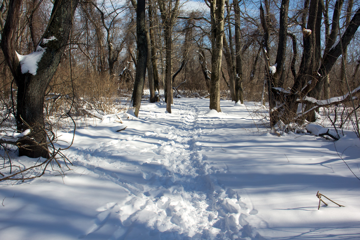 2015-01-28 001 001 copy 2015-01-28 001 001 copy
