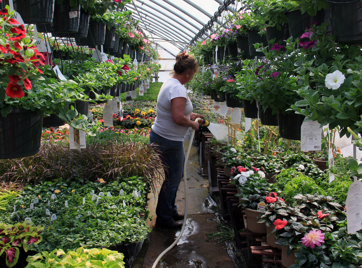 Jill Managing The Greenhouses