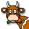 HowdyDo's Avatar