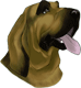 oldmaidnc's Avatar