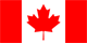 Tim Horton's Avatar