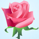 Flowergurl's Avatar