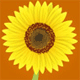 Ohioann's Avatar