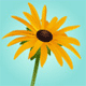 mtnviewfarms's Avatar