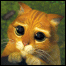 WileyCoyote's Avatar