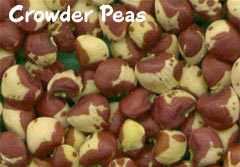 Crowder Peas