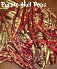 Purple Hull Peas