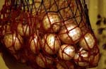 Onions