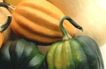 Squash