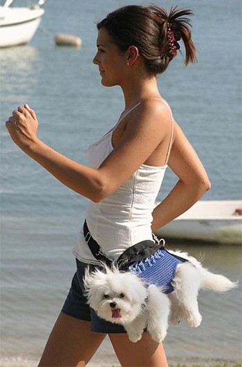 Walking the dog