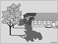 Locate trees to shade the east and west windows mature, they will shade your roof, too.