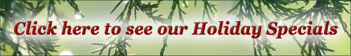 Click here for our Holiday Specials