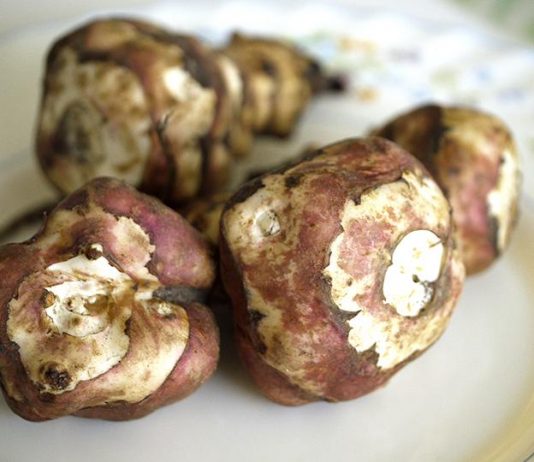 Jerusalem artichokes with brown rice