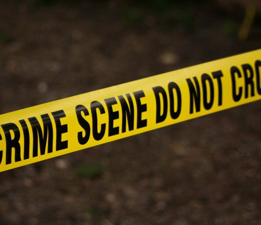 Concealed carry laws reduce crime