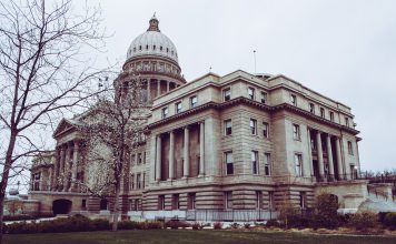 The meltdown and the bailout: why, how, and what they mean