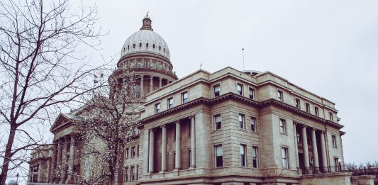 The meltdown and the bailout: why, how, and what they mean