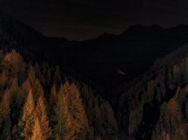 Do rural homeowners need guns for self-defense?