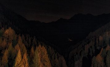 Do rural homeowners need guns for self-defense?