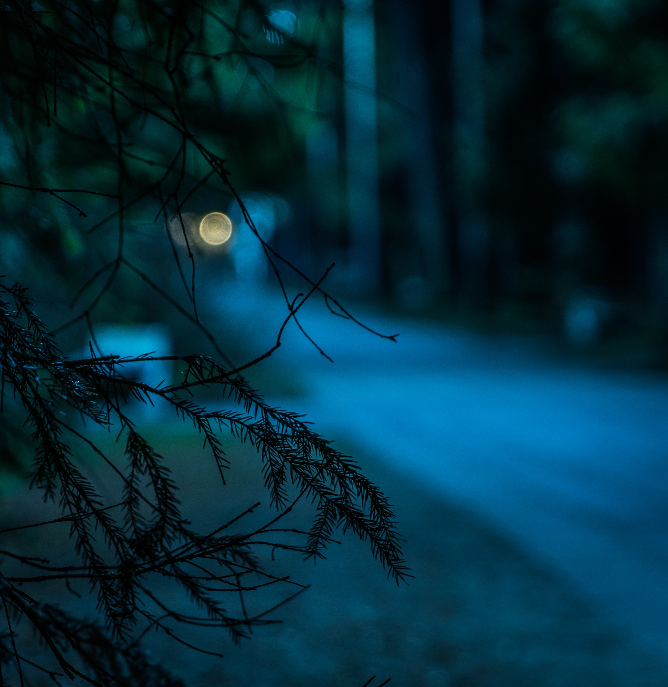 Be Ready Utah - #Prepare for emergency light: Use garden solar lights to  light the interior of your home in a power outage. Charge them outside in  the day and bring them