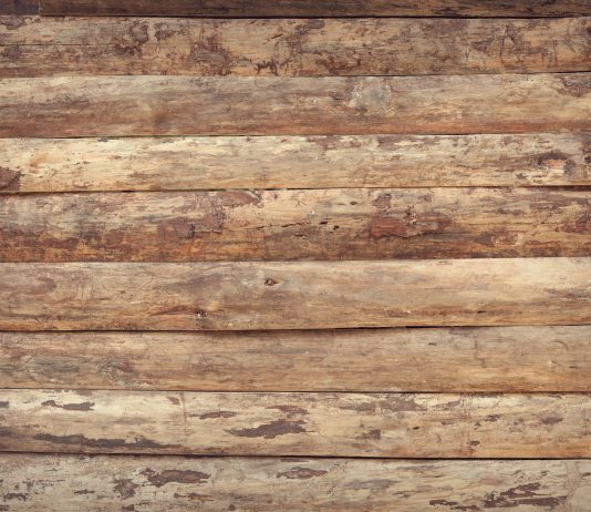 Build a Heated Germination Bed