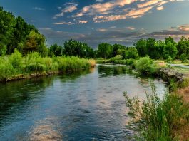 Solar-powered water purifiers