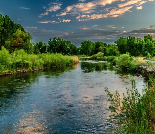 Solar-powered water purifiers