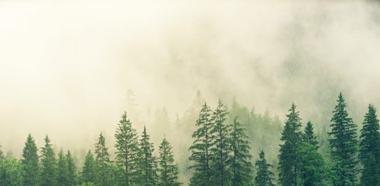 If you want to survive an emergency, look to yourself, not the Government