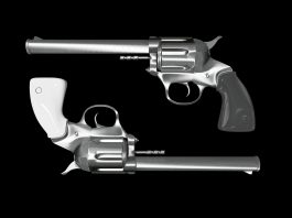 Armed civilians can help fight terrorism