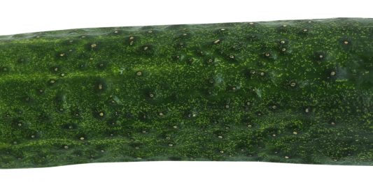 Here are some cucumber pickles to make at home