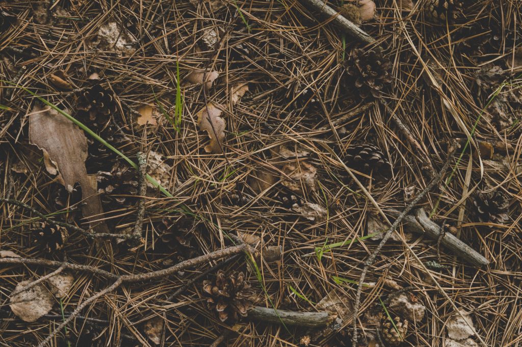 Hiding a gun — The rules of three - Backwoods Home Magazine