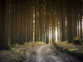 How to maintain a dirt road