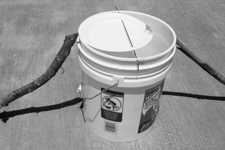 Details about   Bucket Lid Mouse Trap Automatic Mouse Trap 5 Gal Bucket Compatible~ 
