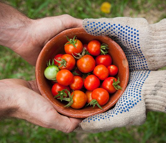 Canning 101 — Pickles, fruits, jams, jellies, etc.