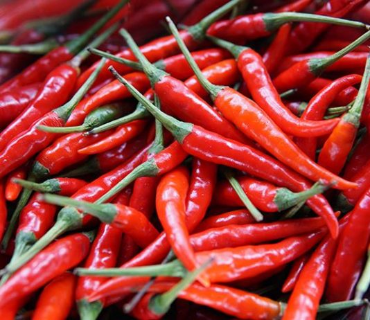 Pickled chili peppers
